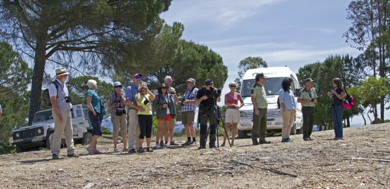 birdwatching spain